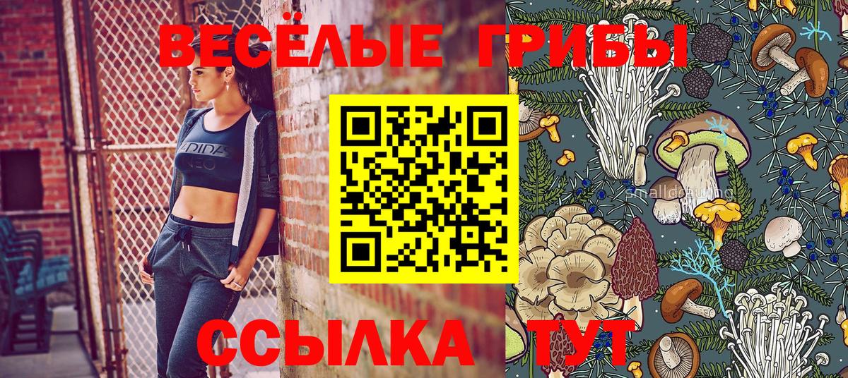Новотроицк  Псилоцибиновые грибы Psilocybe  где купить наркоту  Вход с VPN  Галлюциногенные грибы ЛСД 