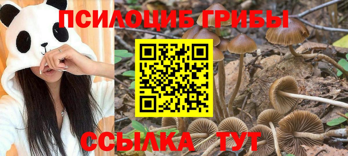 Псилоцибиновые грибы Magic Shrooms Новотроицк