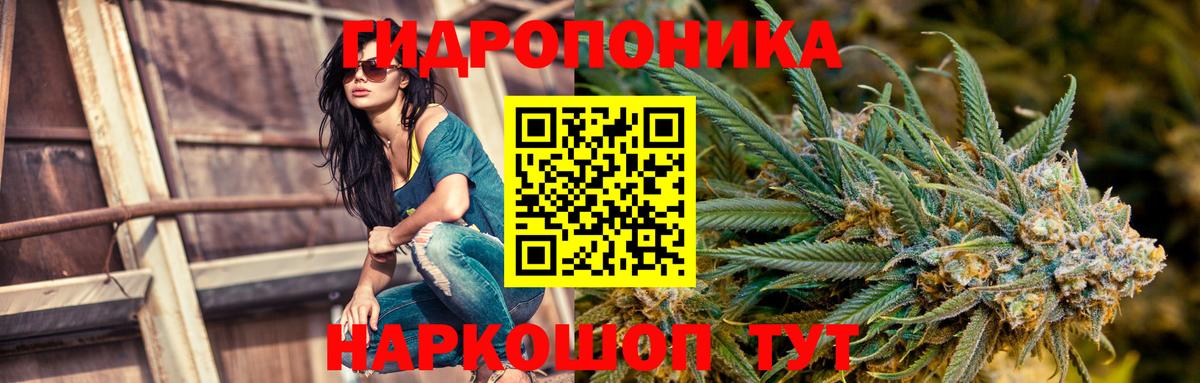 Бошки марихуана VHQ Новотроицк